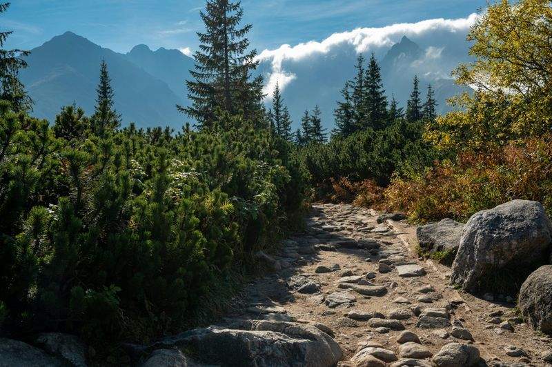 トレイルアドベンチャーズジャパン - Image 6